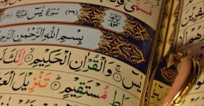 Learning-Quran-Tajweed-Online-Course-cleaned-764x400.jpg