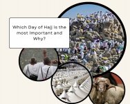 Which-day-of-Hajj-is-the-most-important-and-why.jpg