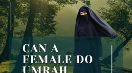 Can-a-female-do-Umrah-alone-800x445.jpg
